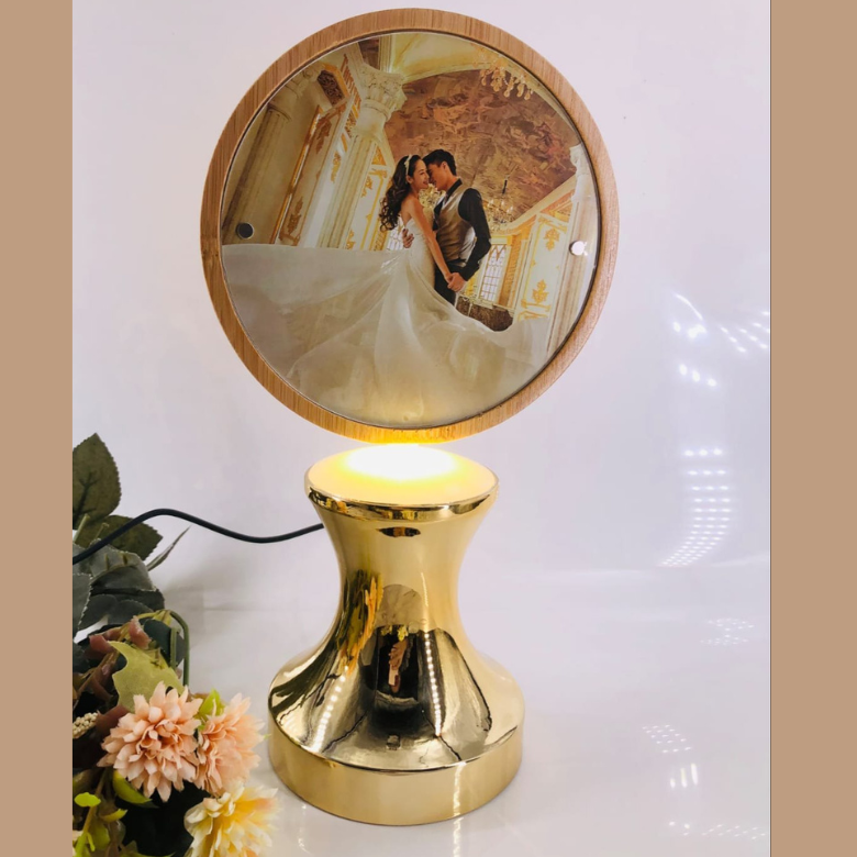 Imported Rotating Lamp Round