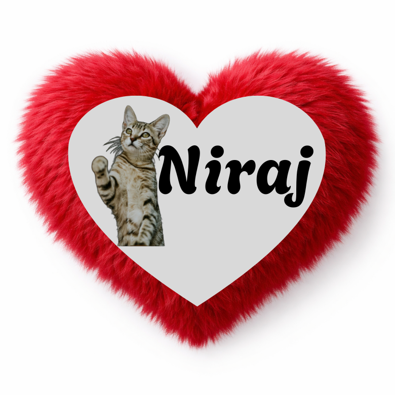 Fur Cushion Heart Red